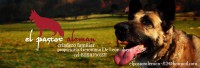 /album/fotogaleria/banner-perro-2-copia-jpg/